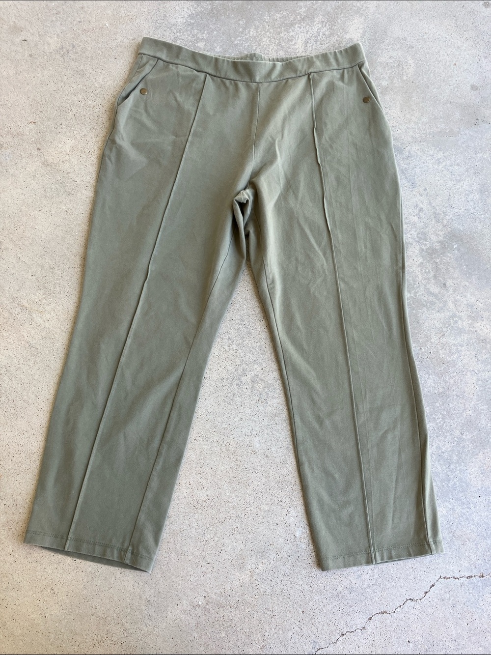 Susan Graver Weekend Green Stretch Leggings, LP